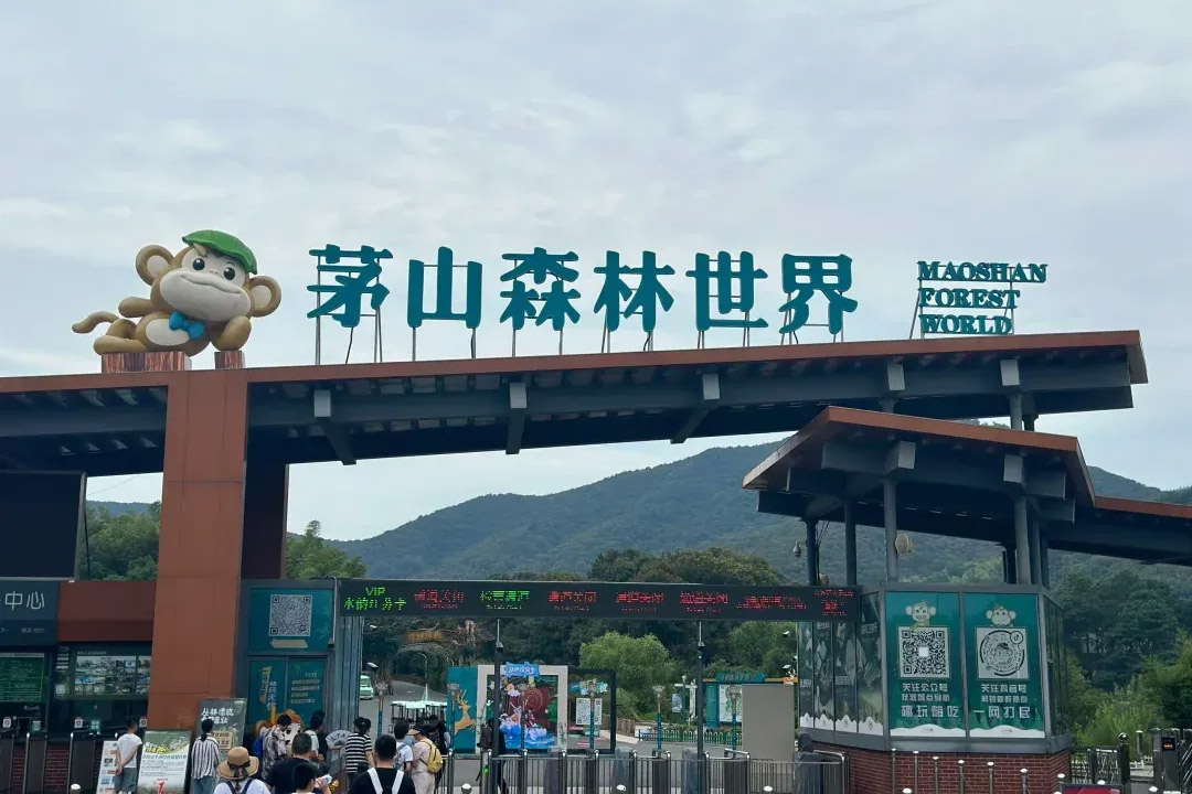 茅山森林世界